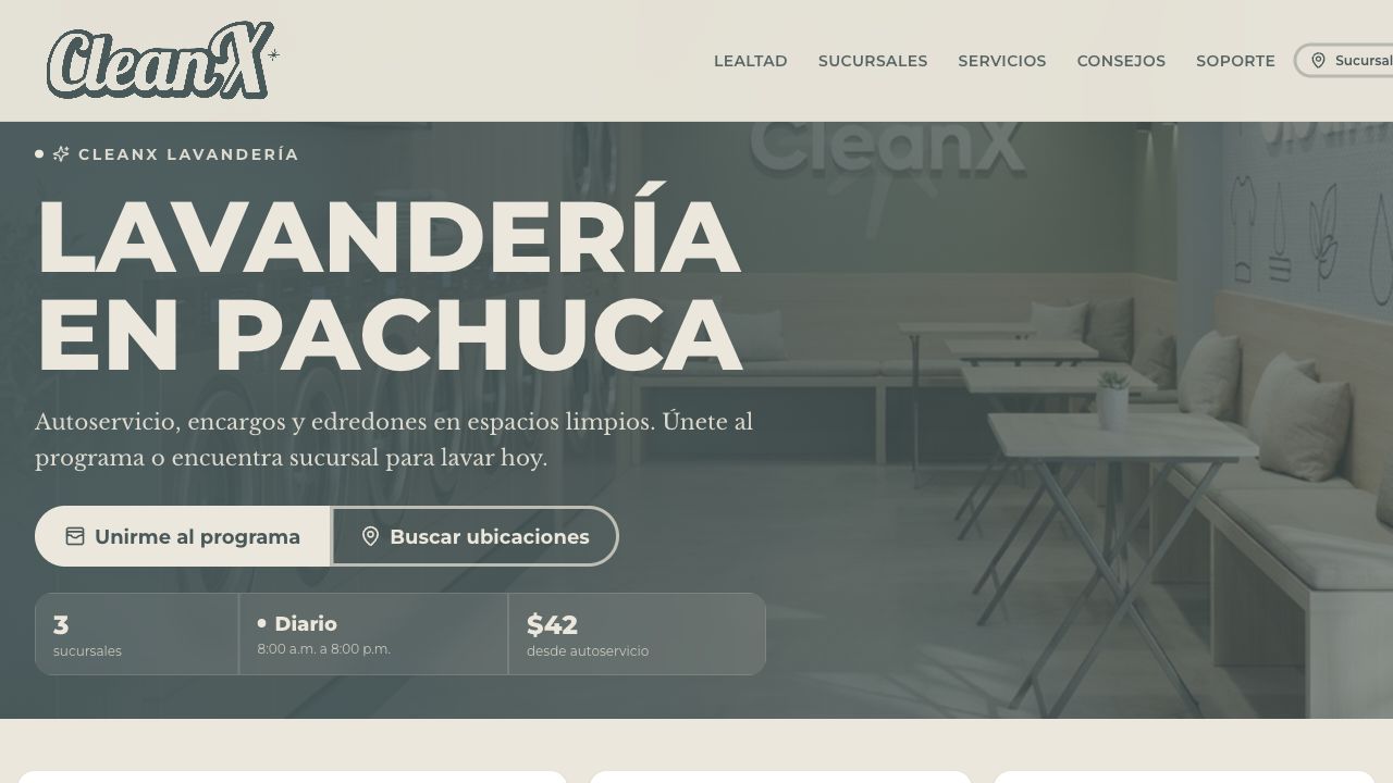 Captura del sitio de CleanX