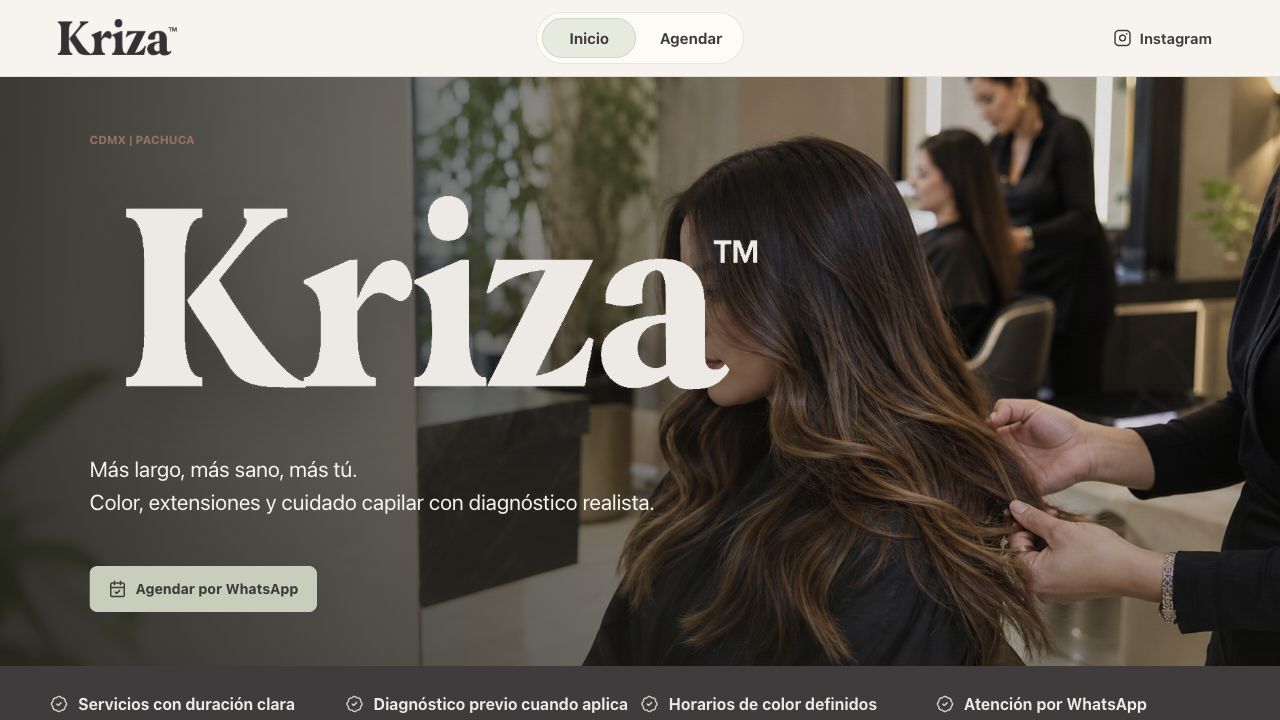 Captura del sitio de Kriza Salones